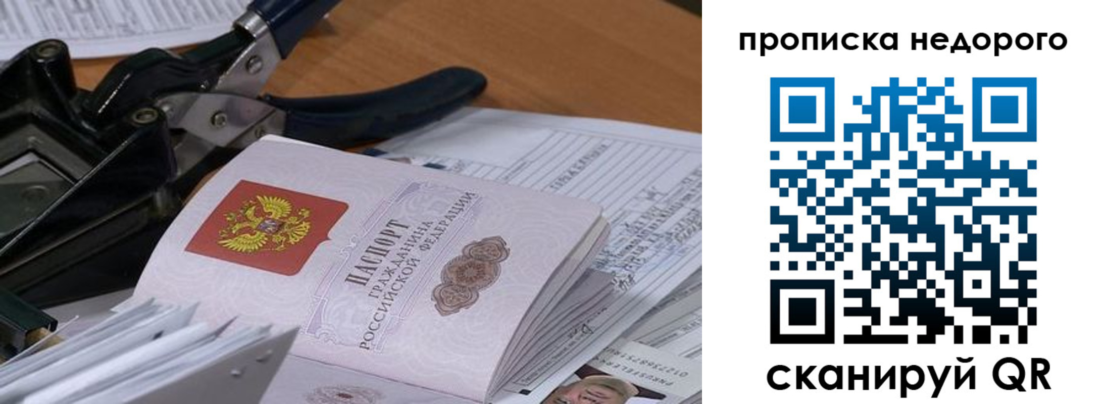 где прописаться в Тимашёвске